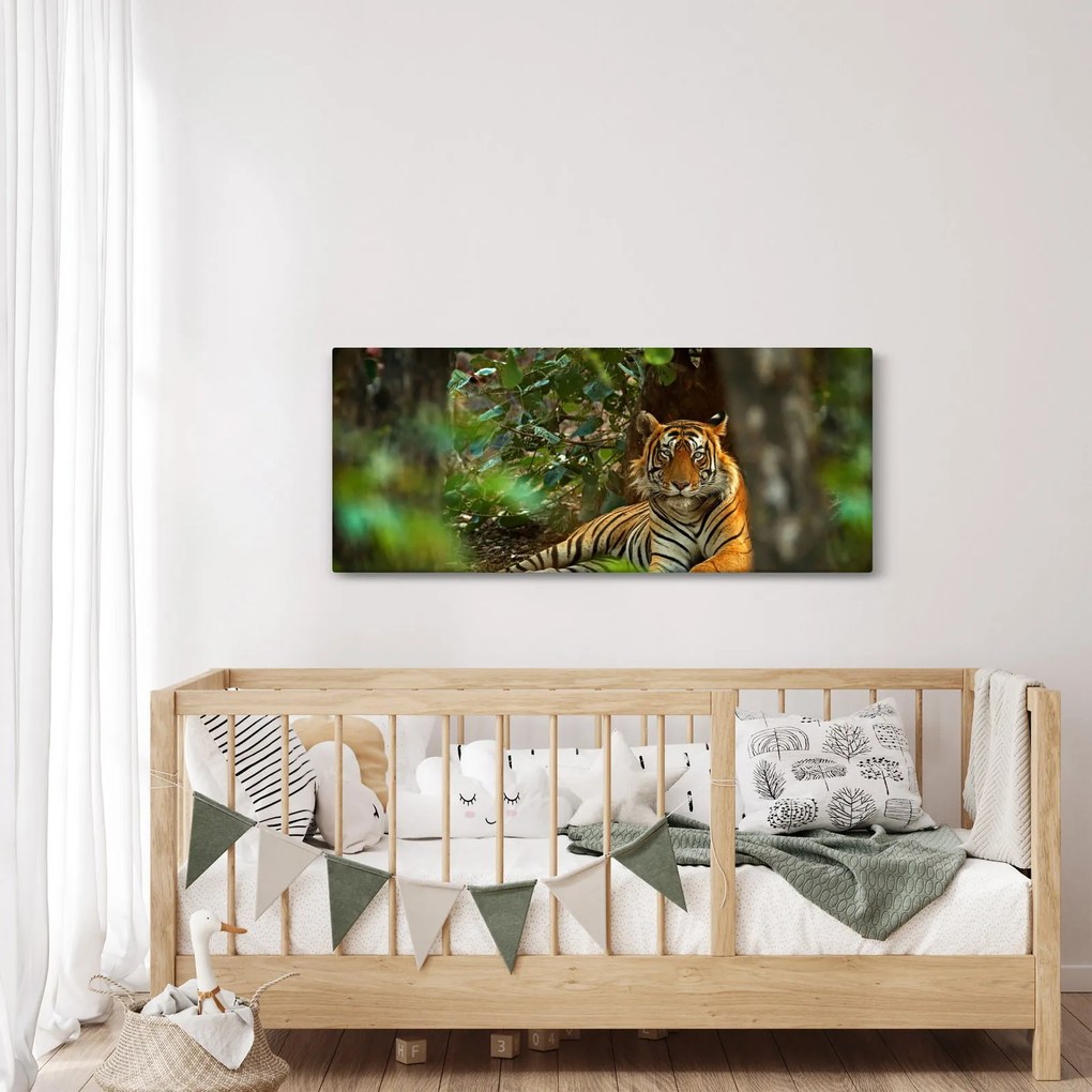 Pihenő tigris képe (120x50 cm)