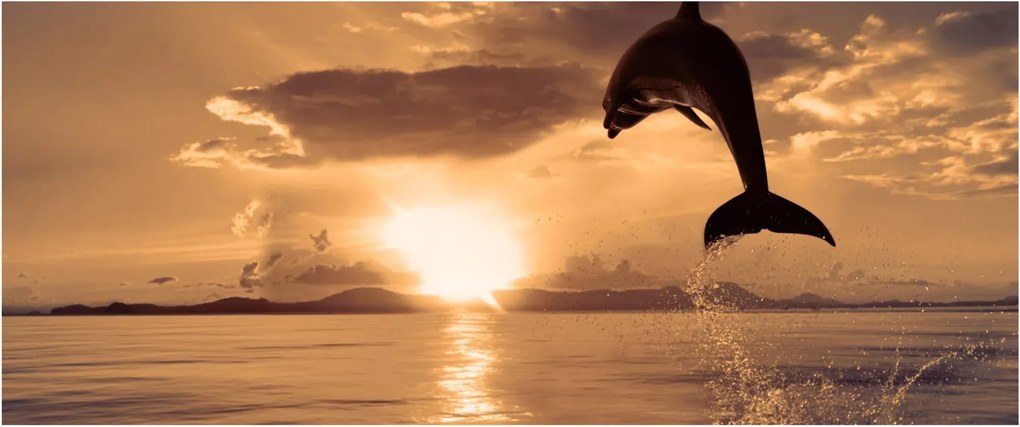 Kép - Delfin naplementében (120x50 cm)