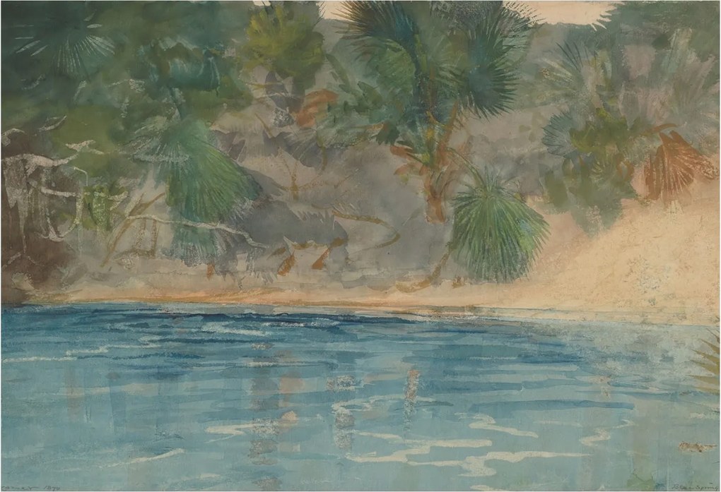 Divatos Flizelin Tapéta Fali Furnér Trópusi szegély 152x104 Ragasztó