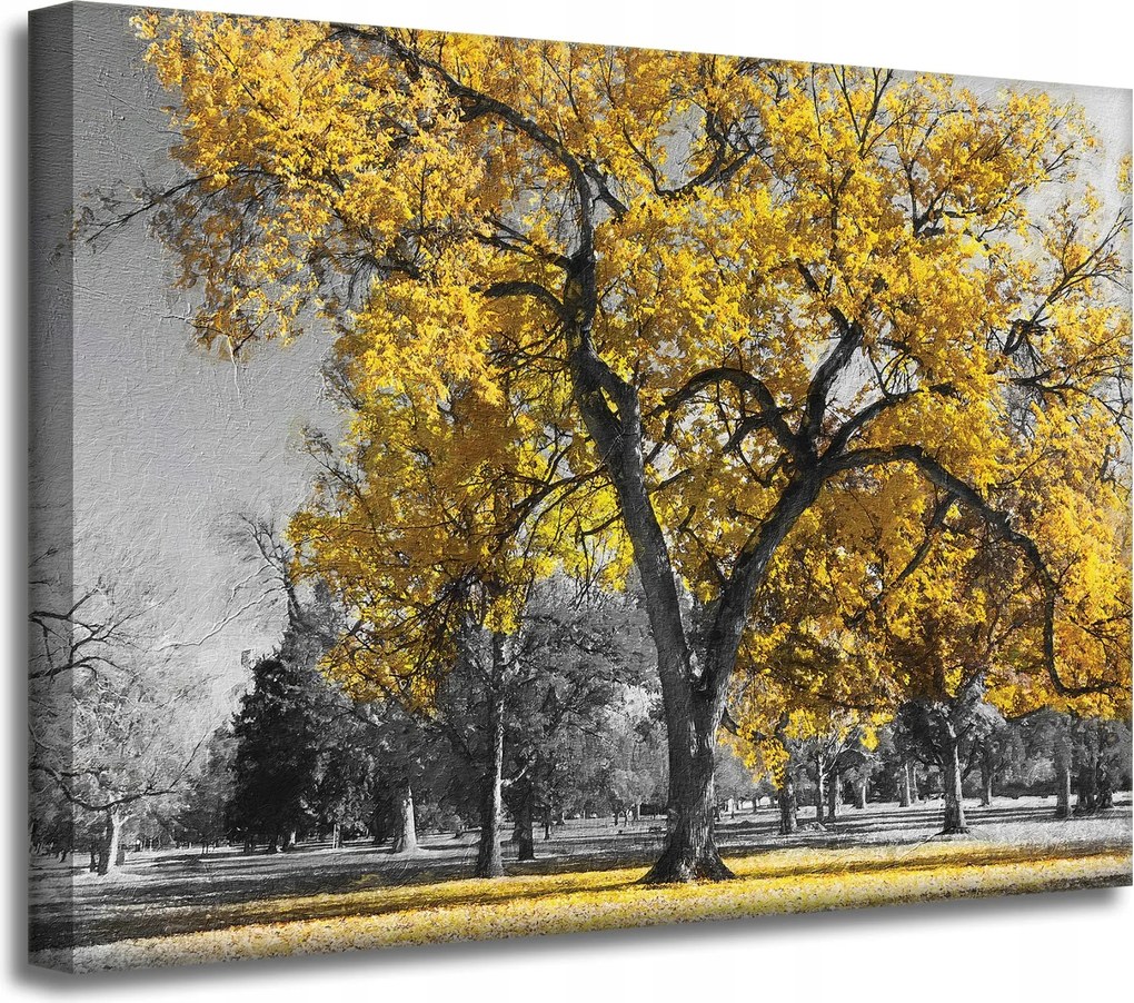 Vászonkép Fekete fák Sárga levelek 40x30 cm Ajándéknak is tökéletes