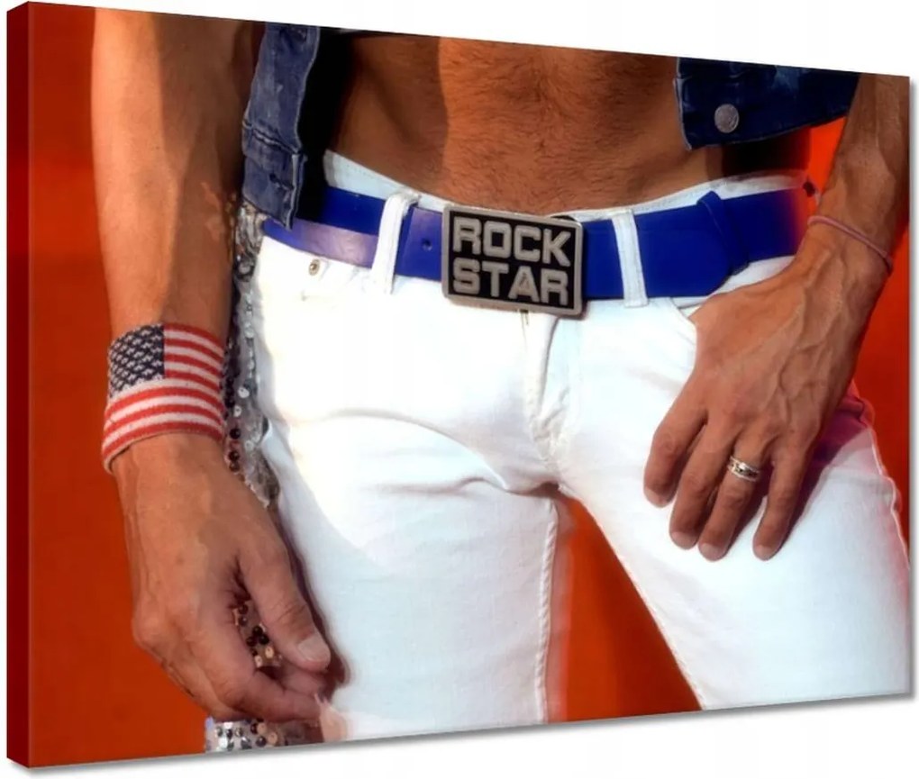 Festmények 40x30 Rock star