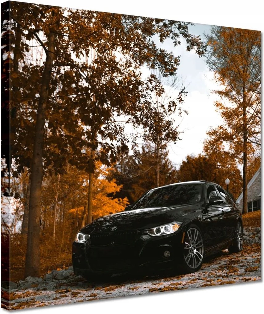Vászonkép 30x30 Fekete Bmw Ősz