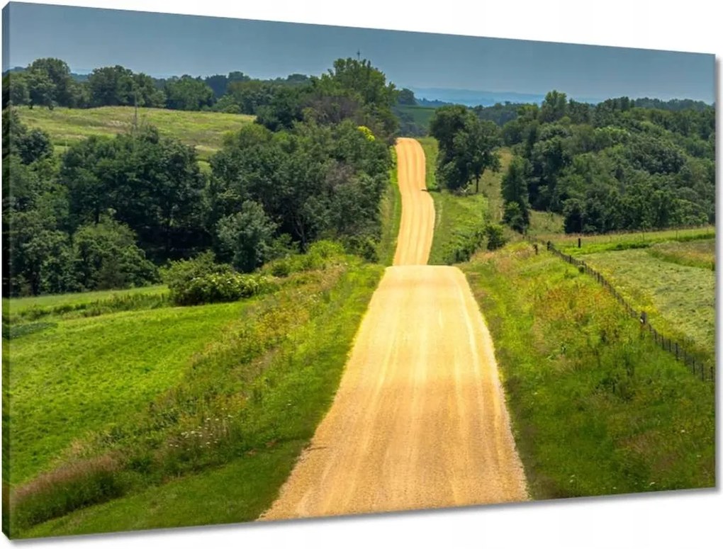 Vászonkép 90x60 Út Rét Mező Erdő