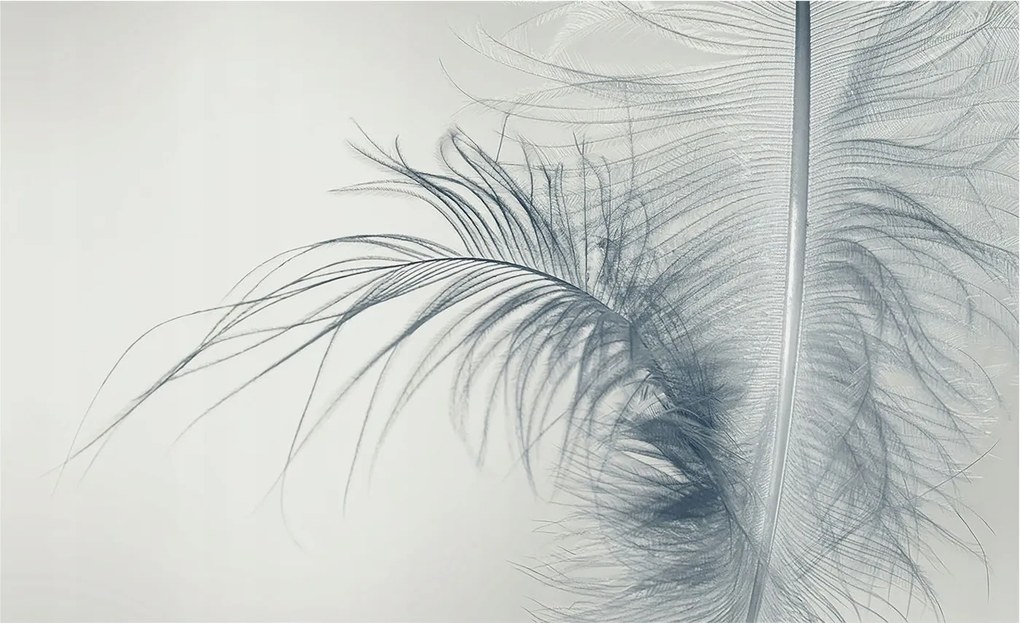 Divatos Flizelin tapéta 3D ragasztóval Fali finom toll 416x254 Ragasztó