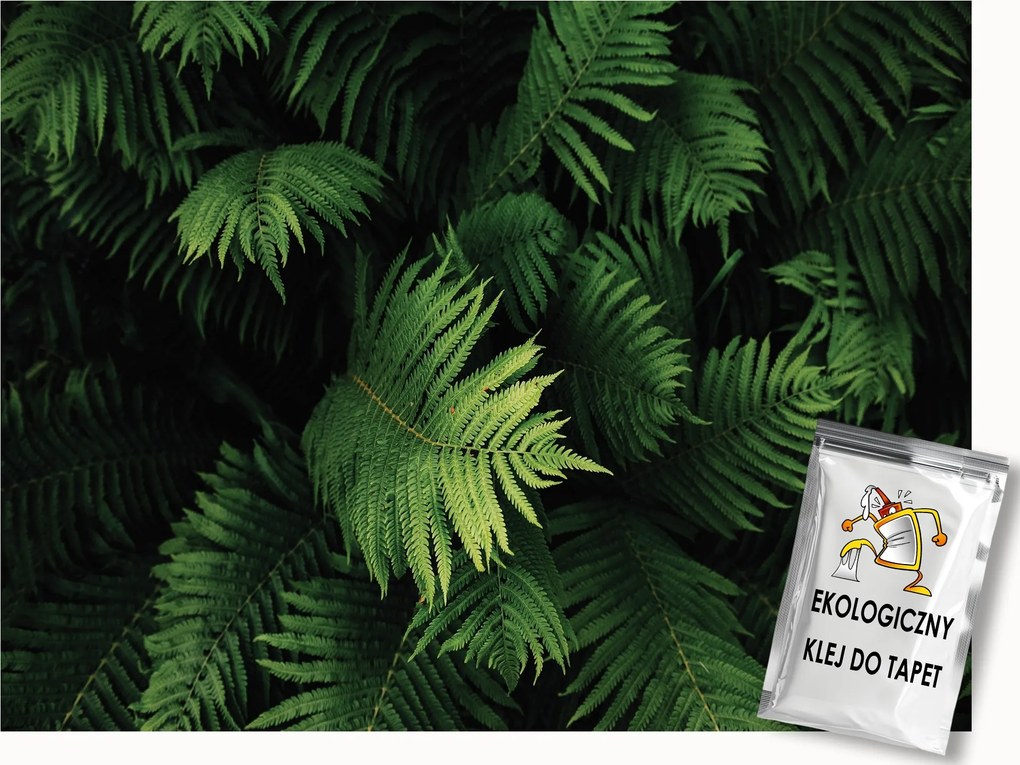 Fotótapéta Flizelina Természet Levelek Páfrány Botanika Zöld 350x250 ragasztó