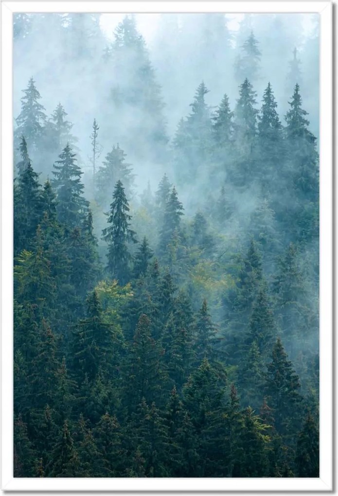 Poszter fehér keretben 40x60 Erdő a ködben Utazás