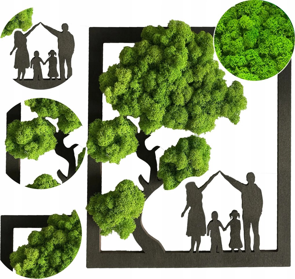 Kép Moha Család Bonsai Fa Moha Élő Kép Életfa