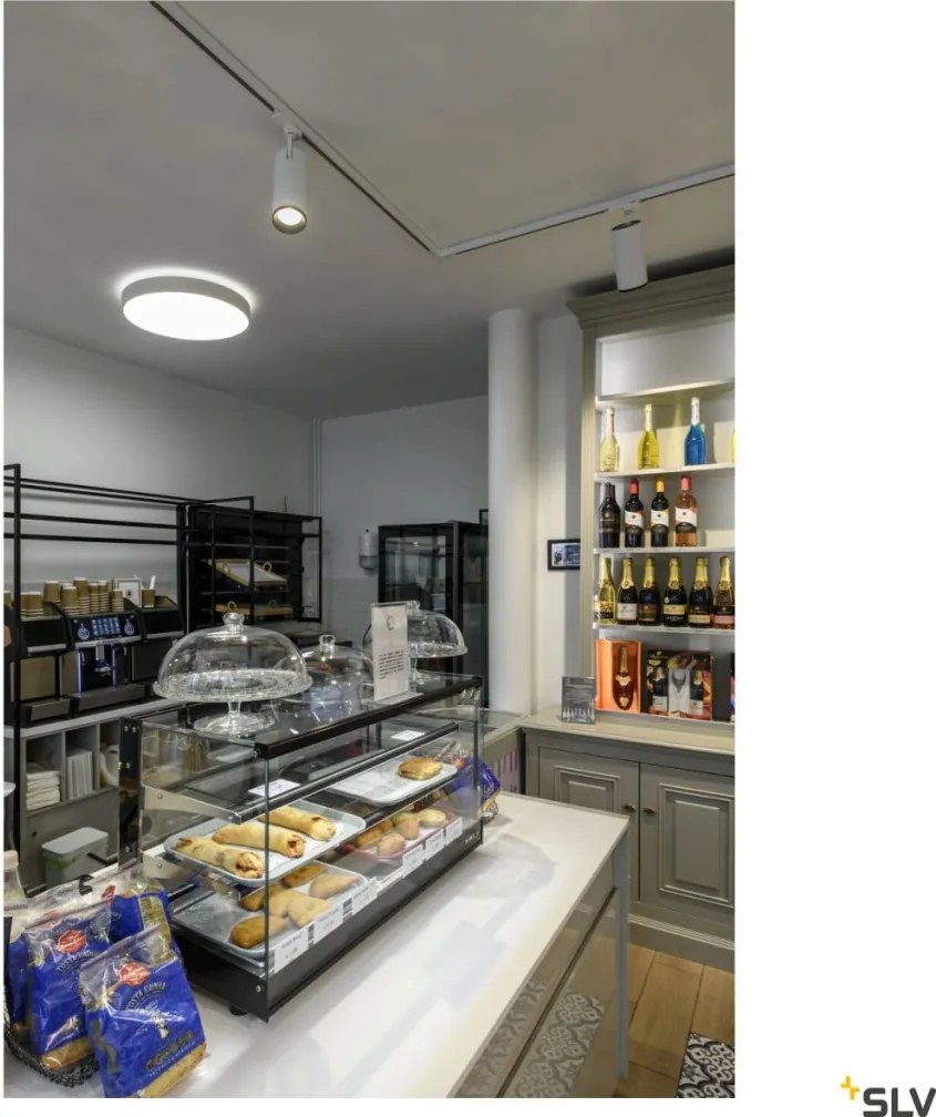 SLV 1007303 MEDO Modern Kültéri Mennyezeti Lámpa Fehér LED IP50