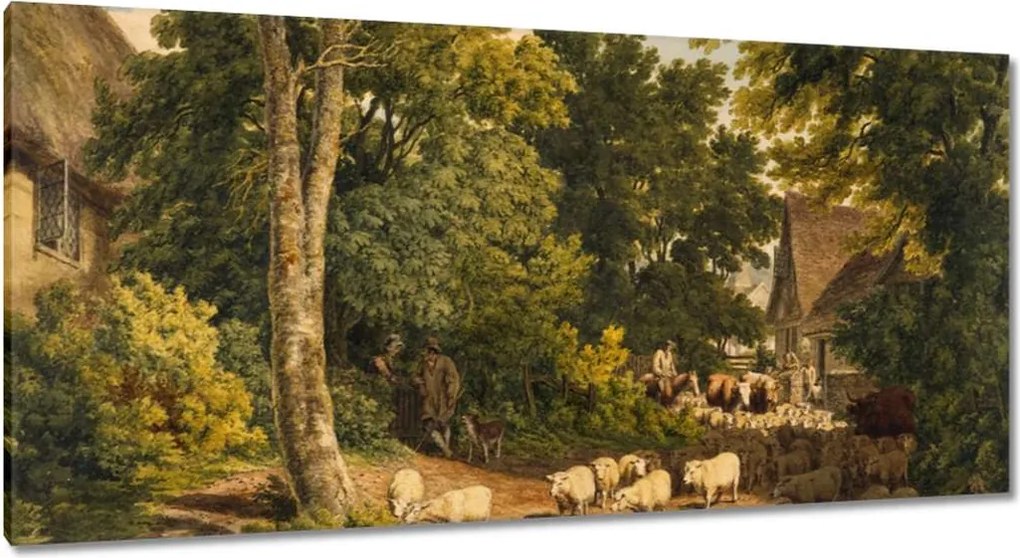 Vászonkép 115x55 Bárányok bárányok