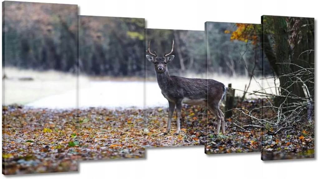Vászonkép 150x80 Szarvas az erdőben Erdő