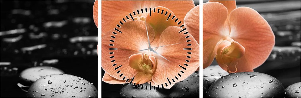 Kép - Narancssárga orchideák (órával) (90x30 cm)