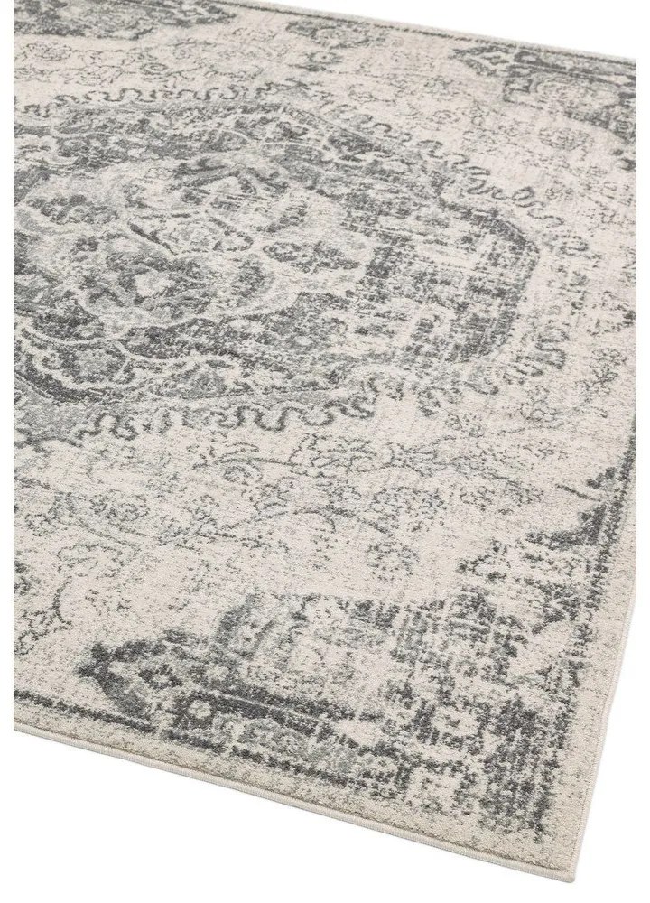 Szürke-krémszínű szőnyeg 200x290 cm Nova – Asiatic Carpets