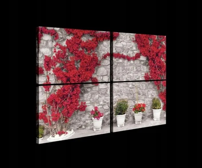 Vászonkép 120x80 Piros virágok kő fal nyár dél nap természet
