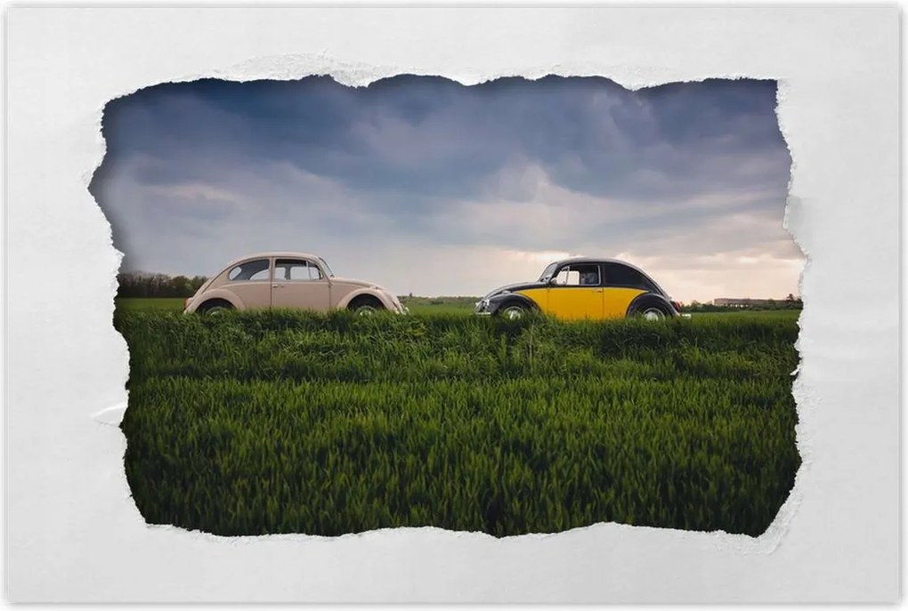 Poszterek 60x40 Volkswagen Bogár