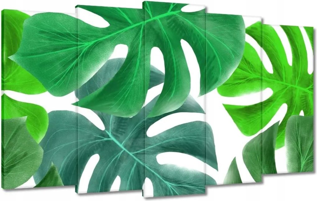 Vászonkép 100x60 Levelek Monstery Trópusok