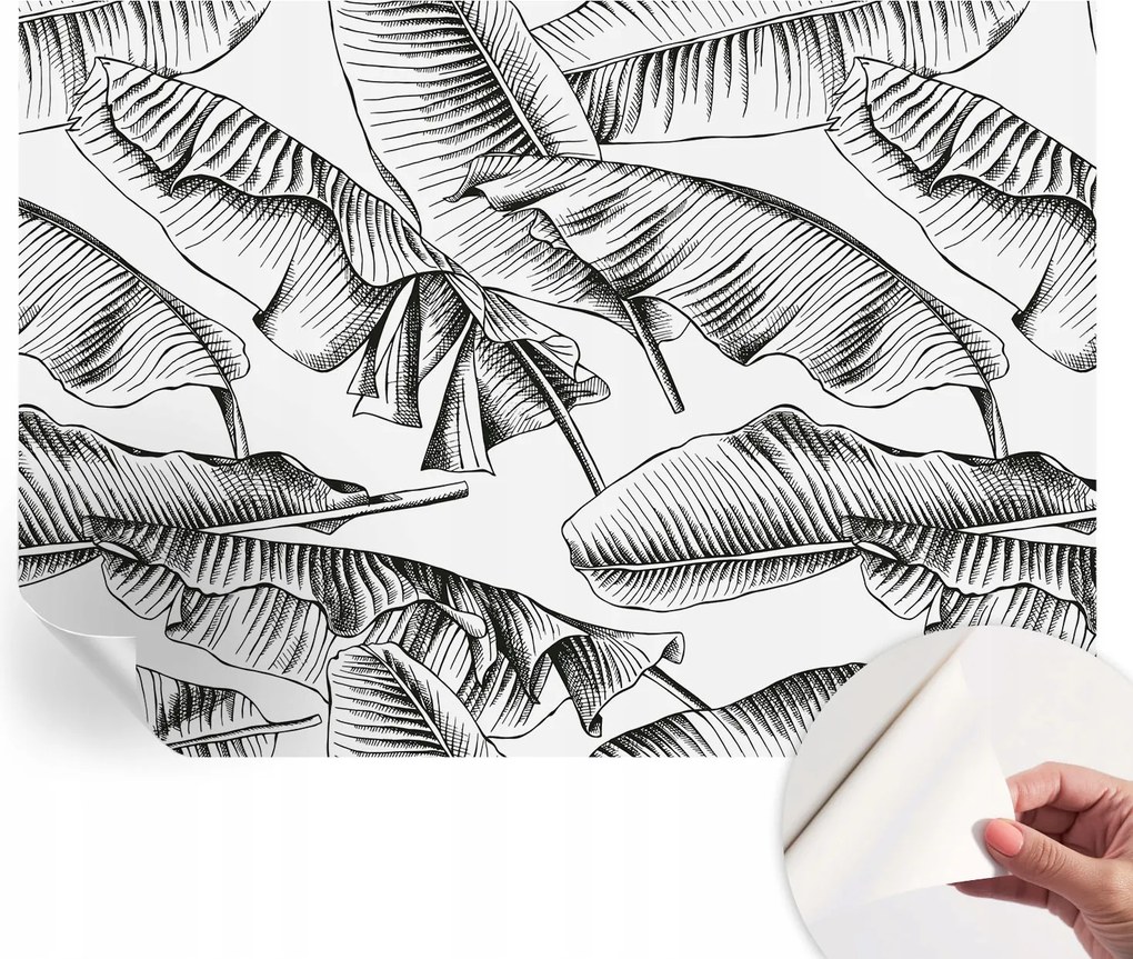 Öntapadós fotótapéta a konyhába Mosható Banán levelek 208x146 cm