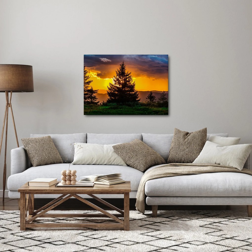 Kép - tűlevelűek (70x50 cm)