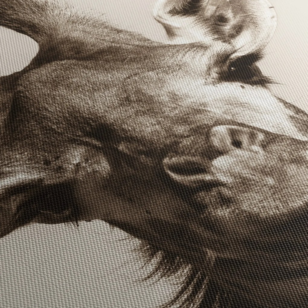 Kép - Zsiráf portré, vintage (órával) (90x30 cm)