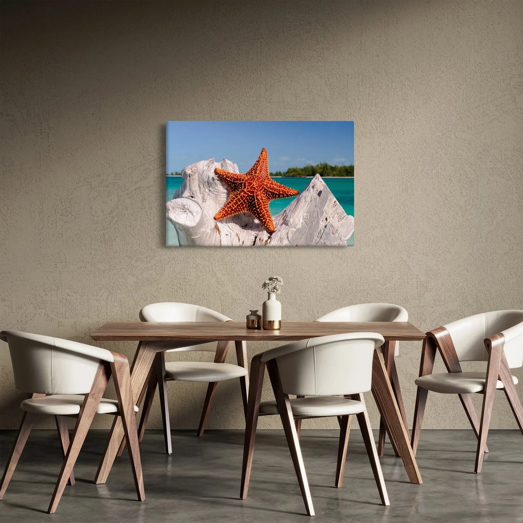 Egy tengeri csillag képe (90x60 cm)