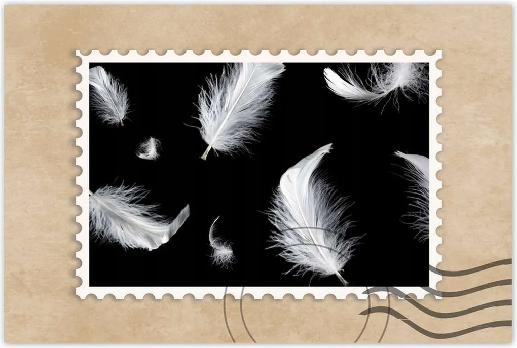 Poszterek 90x60 Fehér lelógó tollak