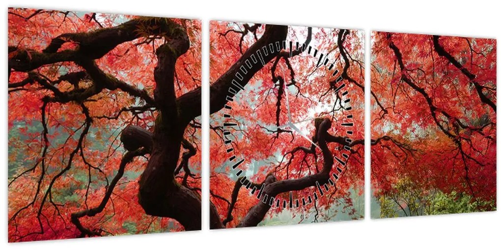 Red Japanese Maple, Portland, Oregon képe (órával) (90x30 cm)