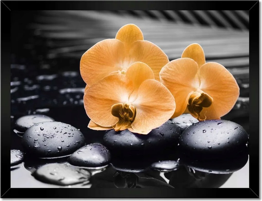 Poszter keretben 40x30 Narancssárga orchideák