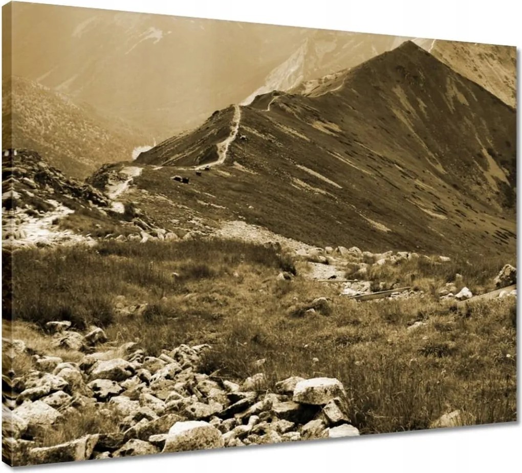 Vászonkép 50x40 Tátra Lengyel hegyek Kilátás