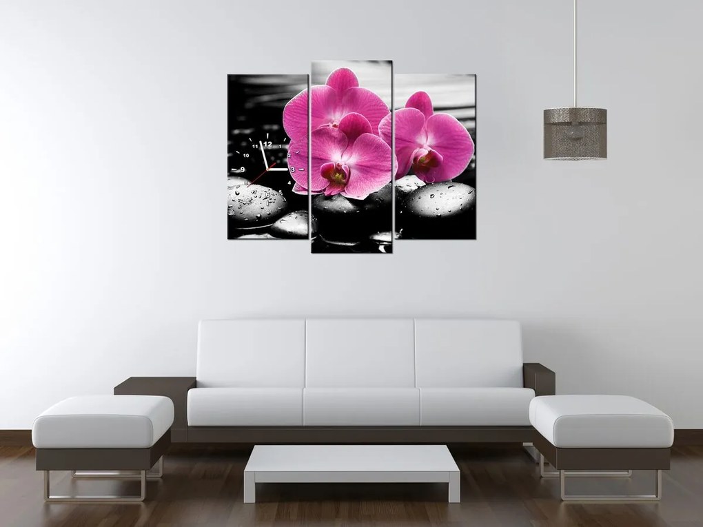 Gario Órás falikép Gyönyöru orchidea o kövek közott - 3 részes Méret: 80 x 40 cm