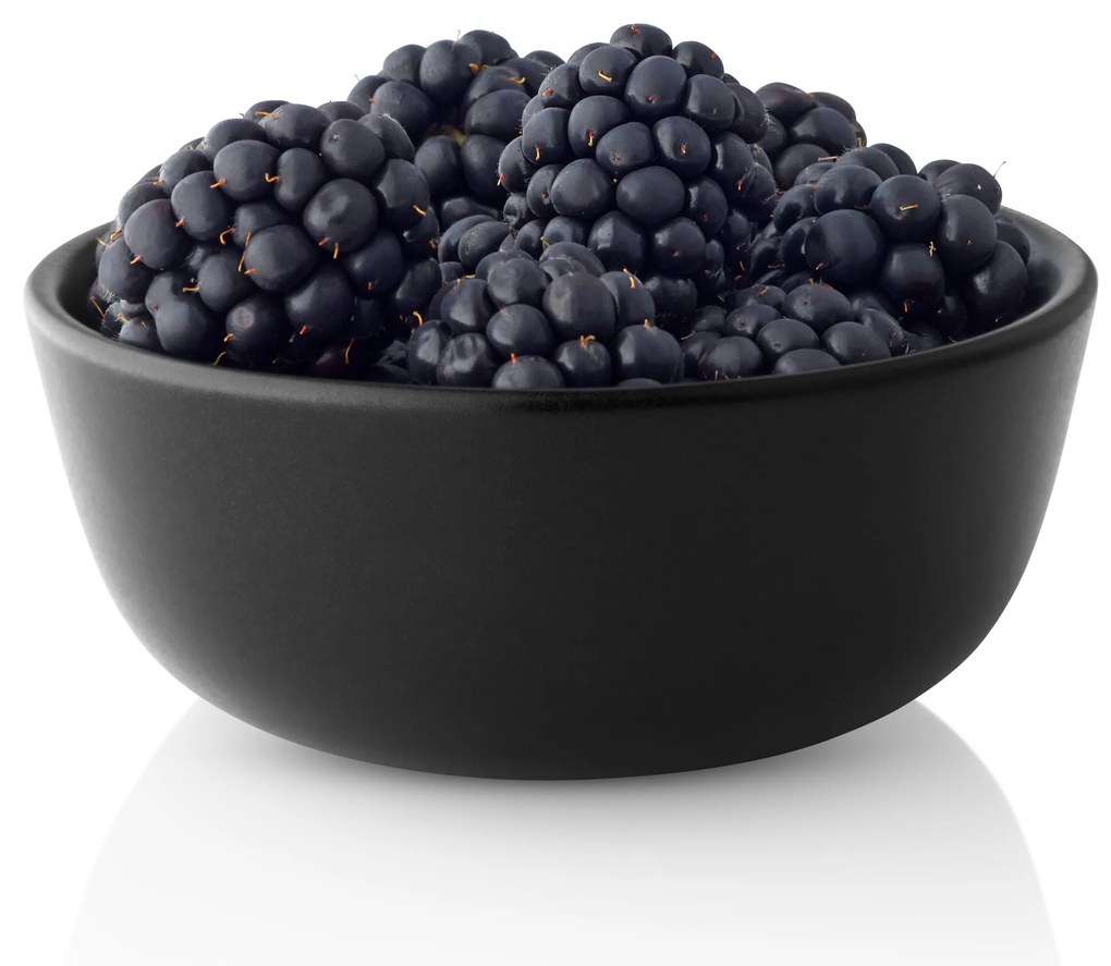 Nordic Kitchen tálka, 0,15l, Ø10cm, 4 db-os készlet, fekete - Eva Solo