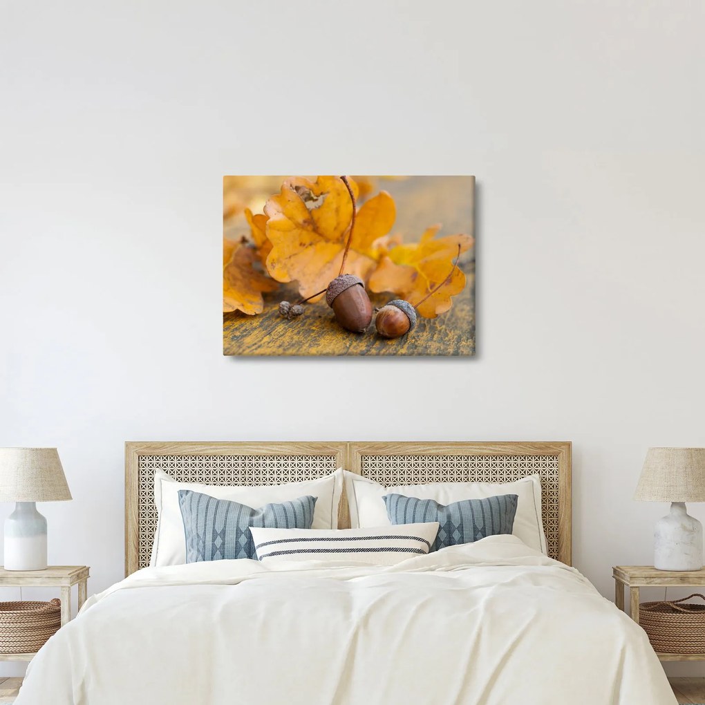 Kép - Őszi makk (70x50 cm)