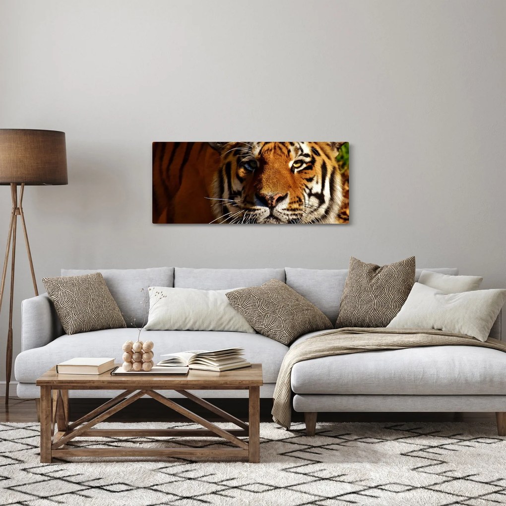 Tigris képe (120x50 cm)