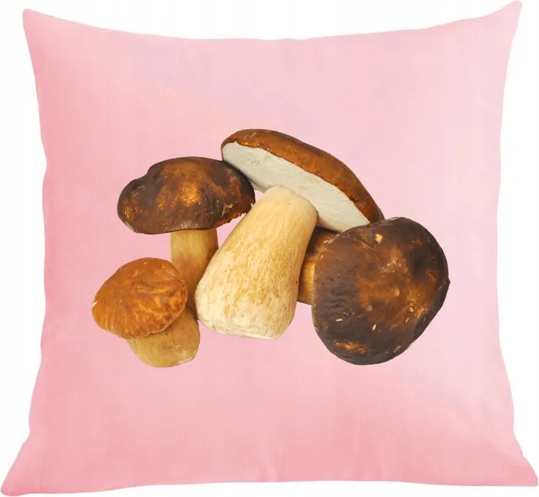 Párna+párnahuzat Ajándék gombászoknak