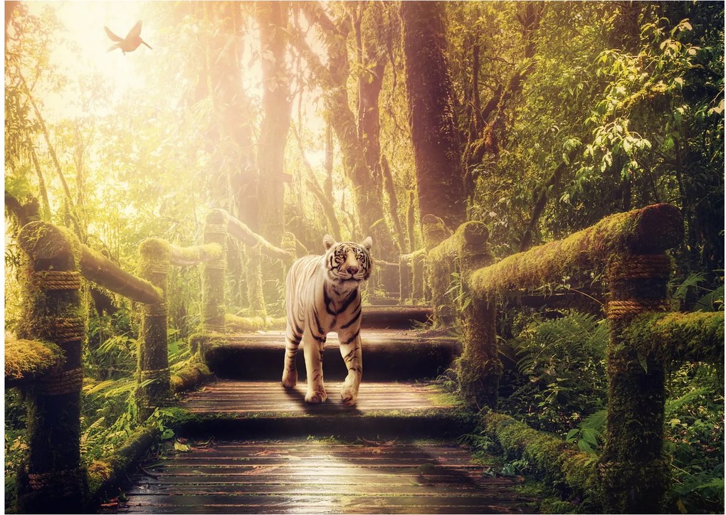 Tigris képe (70x50 cm)