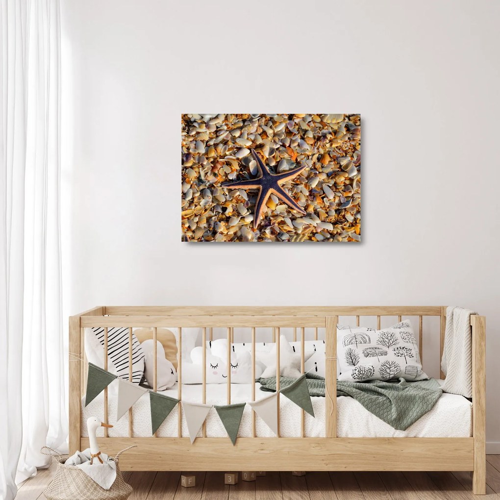 Egy tengeri csillag képe (üvegen) (70x50 cm)