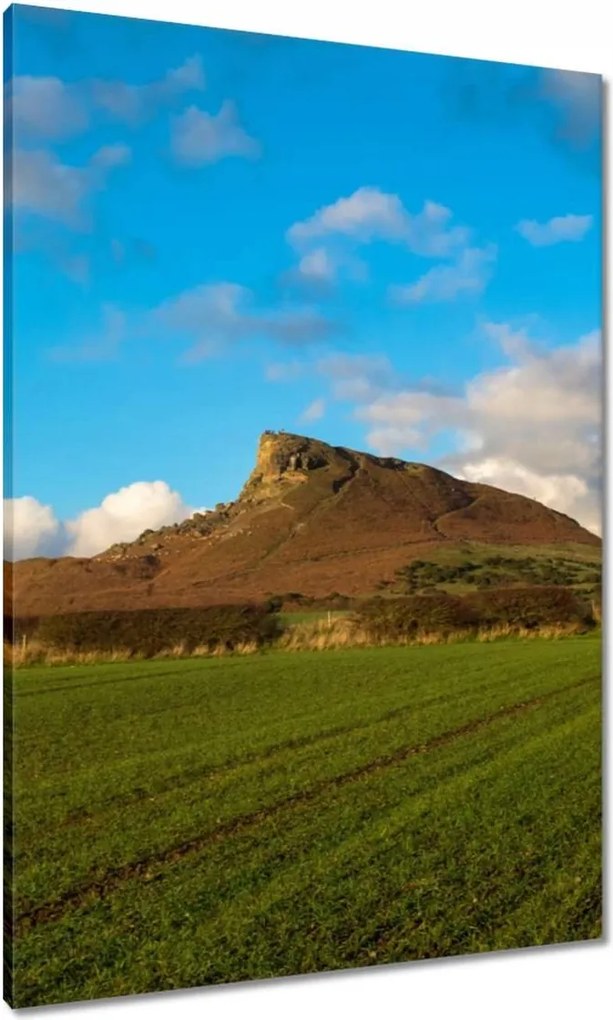 Vászonkép 70x100 Hegy a mező mögött