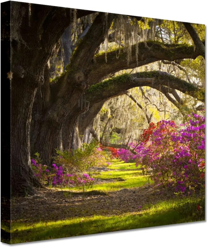 Vászonkép 20x20 Virágok a parkban