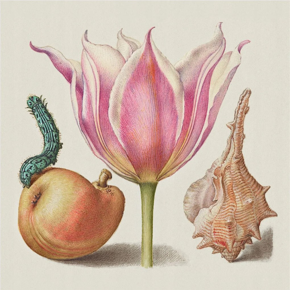 Tapéta Flizelin Falfestmény Prémium Természetes szimbiózis 250x250 Ragasztó