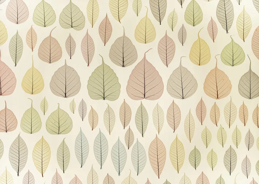 Poszter 42x29,7cm Csontváz levelek, Assaf Frank