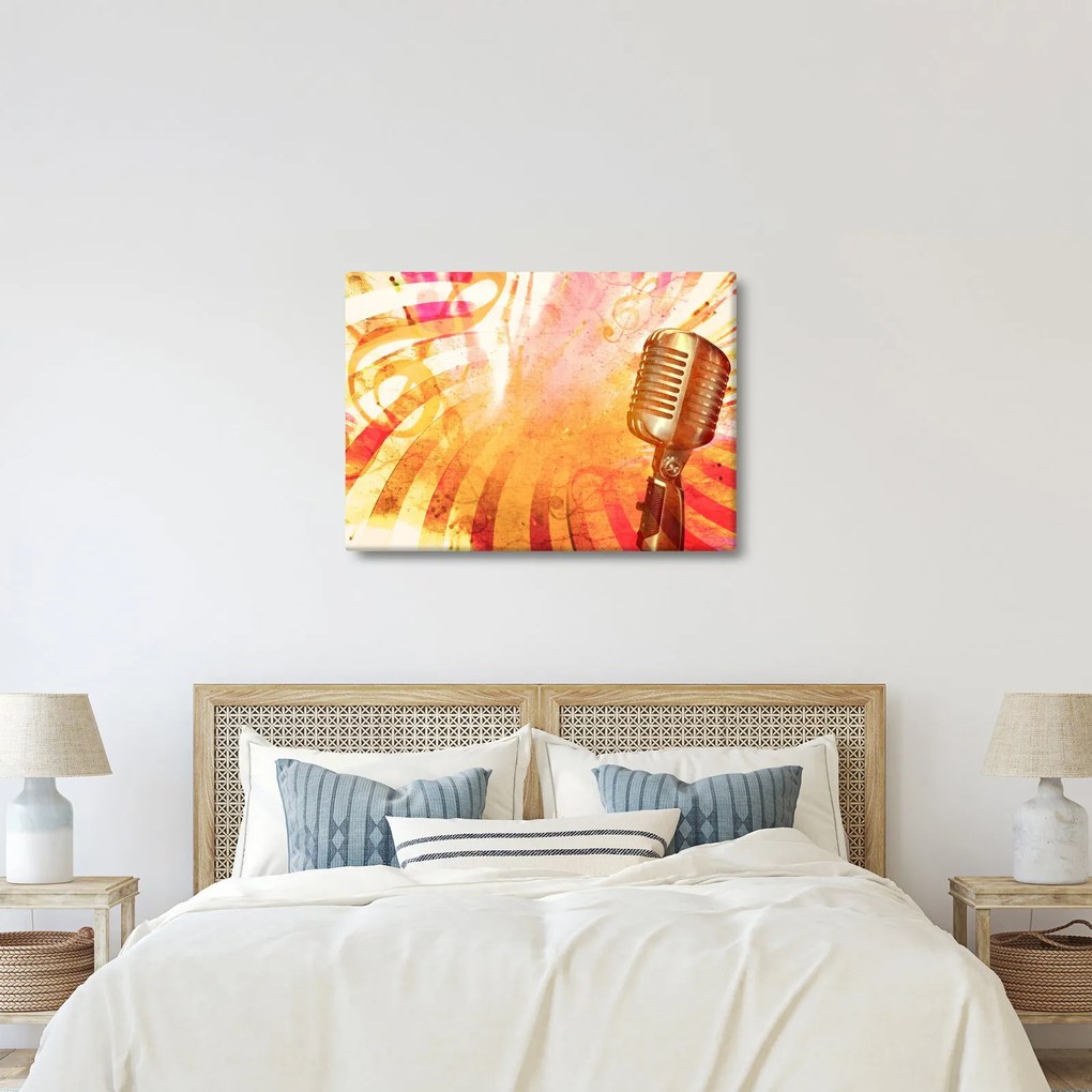 Kép - Retro mikrofon (70x50 cm)