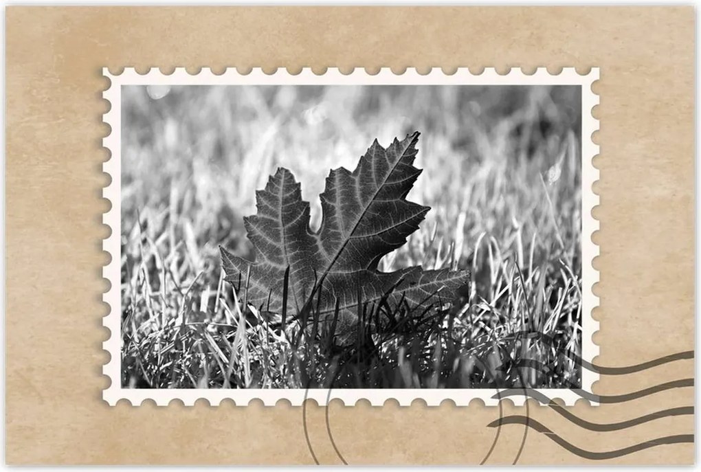 Poszterek 60x40 Őszi levél a fűben