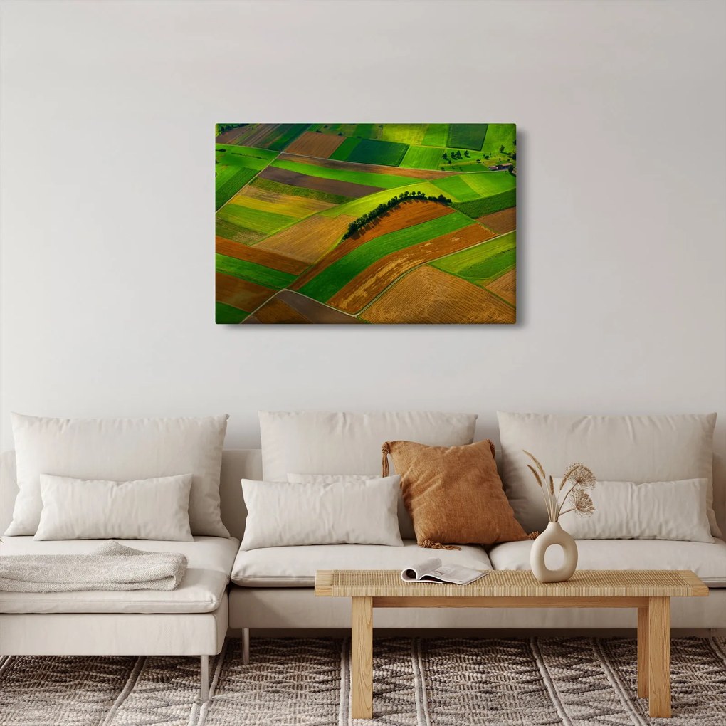 Kép - Mezők, rétek (90x60 cm)