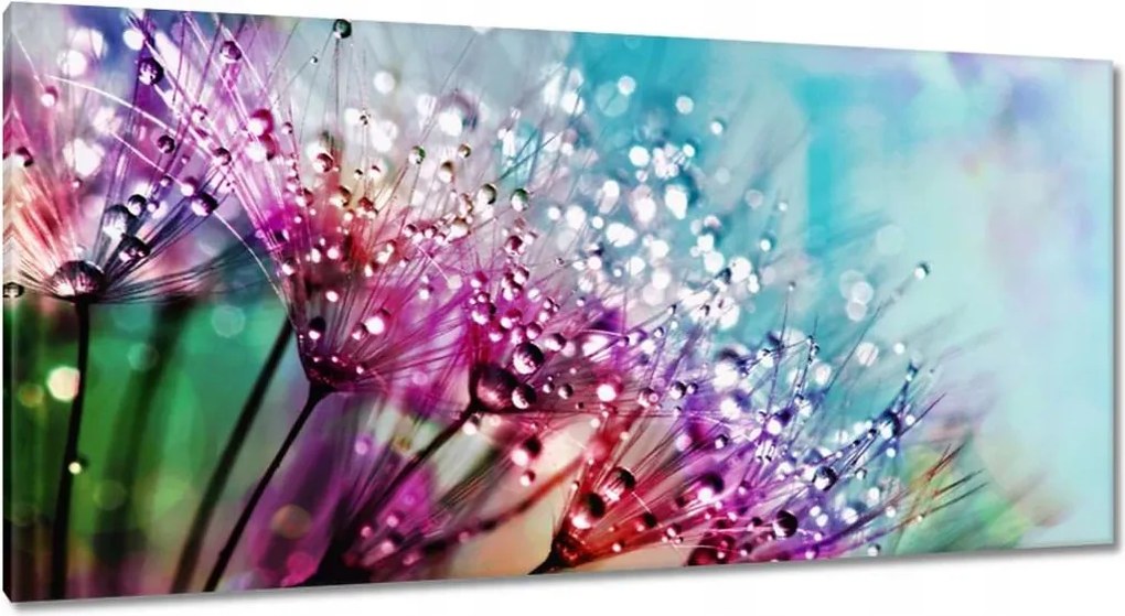 Képek 115x55 Harmatcseppek Gyermekláncfű