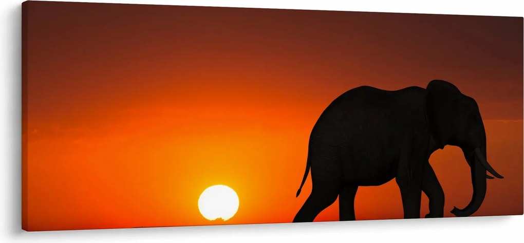 Elefánt képe naplementekor (120x50 cm)