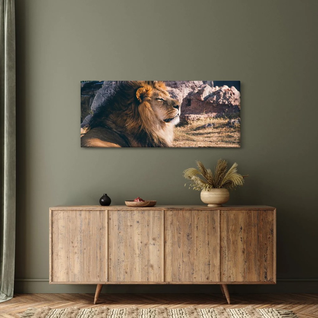 Egy fekvő oroszlán képe (120x50 cm)