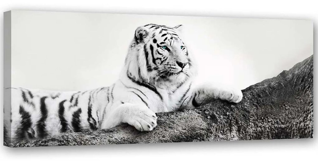 Gario Vászonkép Figyelo tigris Méret: 120 x 40 cm