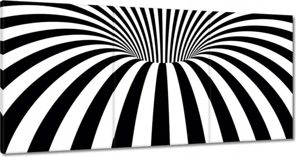 Festmények 180x90 Absztrakt fekete-fehér