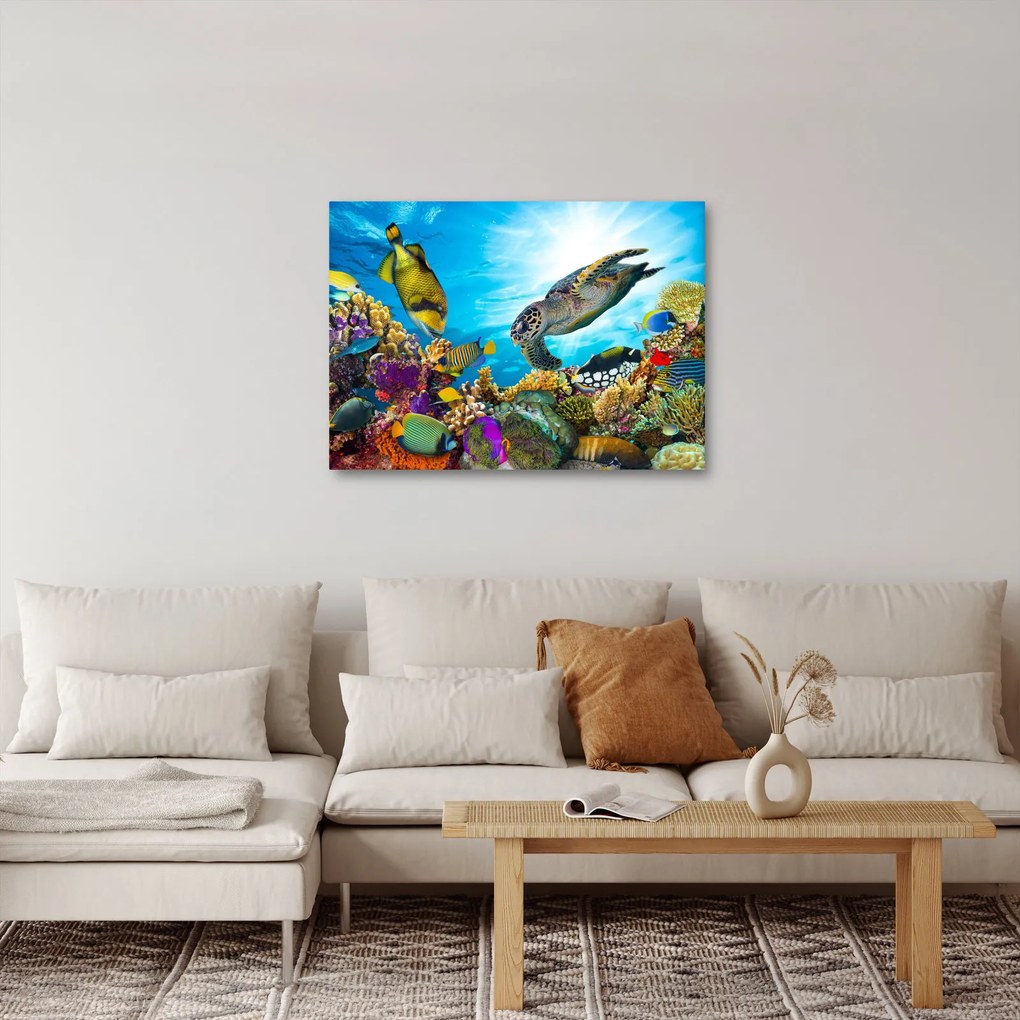 Egy korallzátony képe (70x50 cm)
