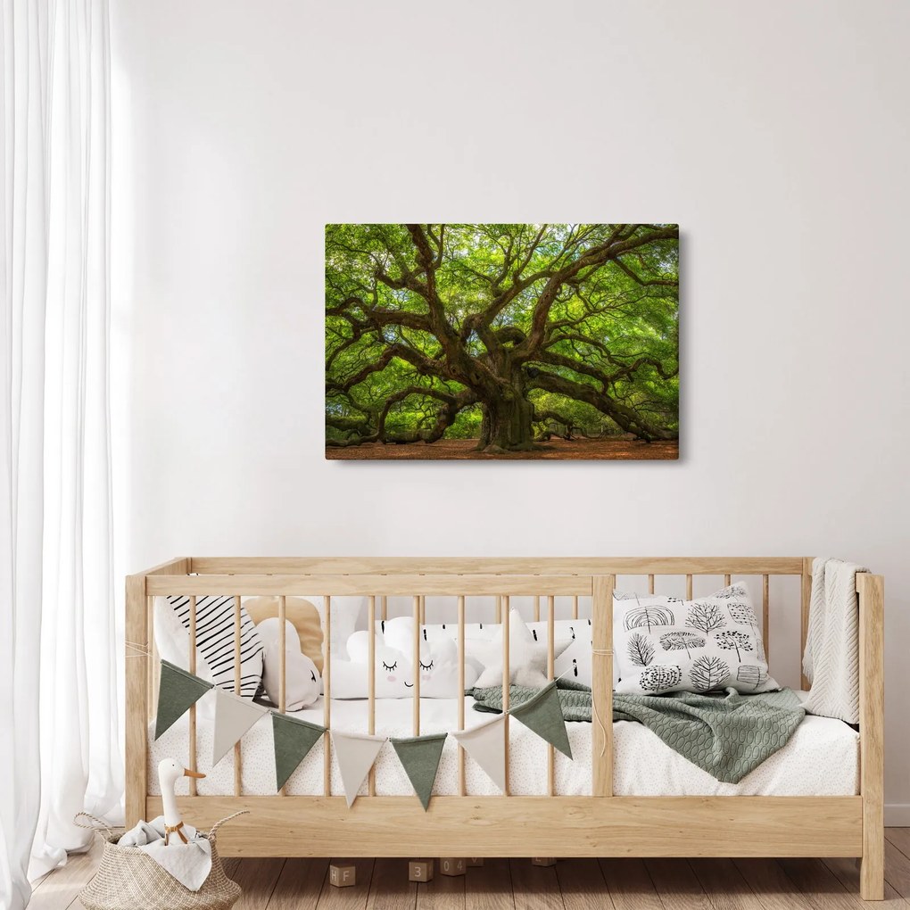 Kép - Zöld fa (90x60 cm)