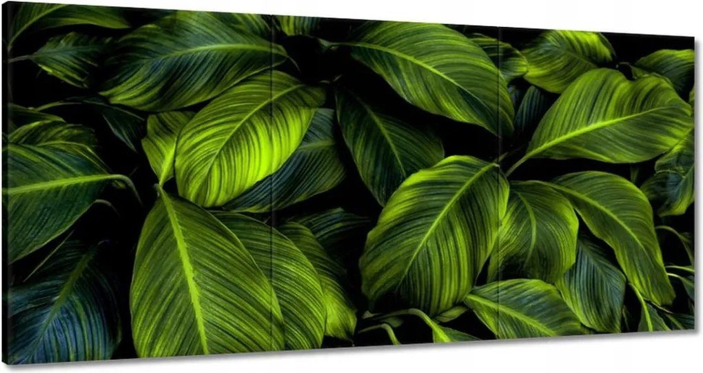Vászonkép 60x30 Gyönyörű zöld levelek