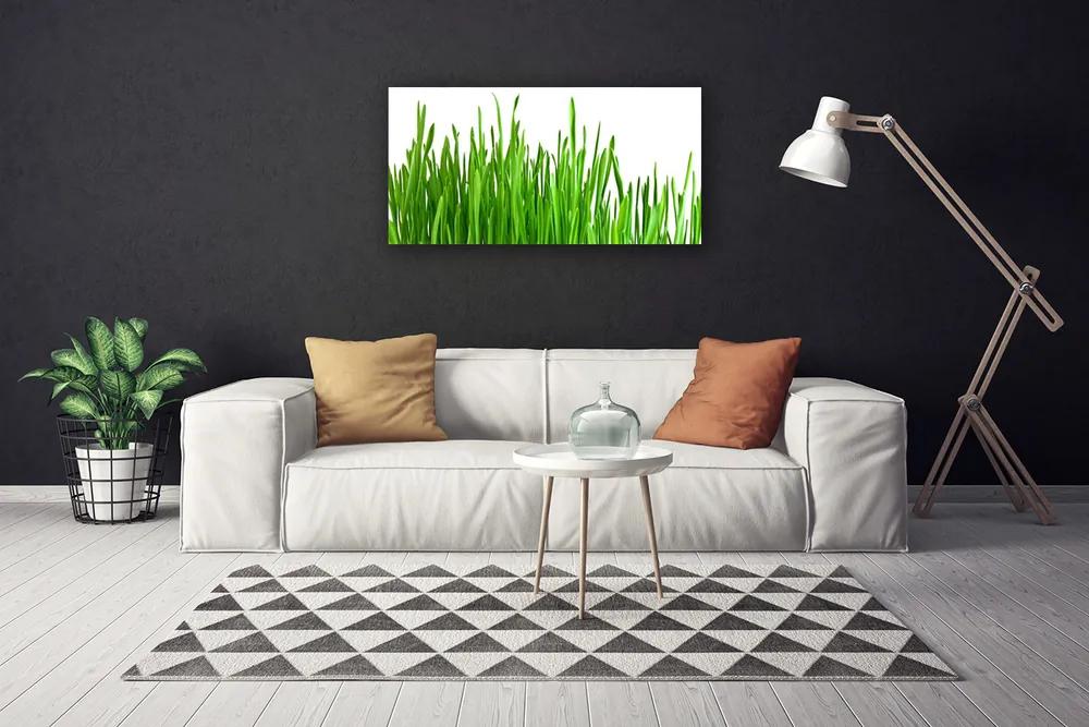 Vászonkép falra Grass Nature Plant 120x60 cm